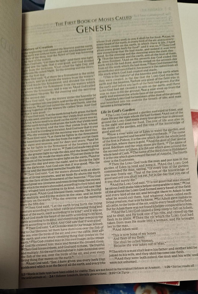 Economy Bible-NKJV: Beautiful. Trustworthy. Today Paperback