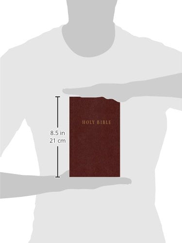 Pew Bible-NLT