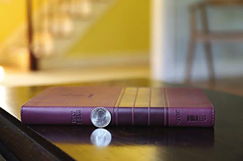 Holy Bible: New International Version, Burgundy Leathersoft, Value Thinline Bible