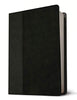 NLT Life Recovery Bible, Second Edition Personal Size, Black