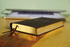 Holy Bible: New International Version, Brown, Leathersoft, Thinline Reference, Comfort Print
