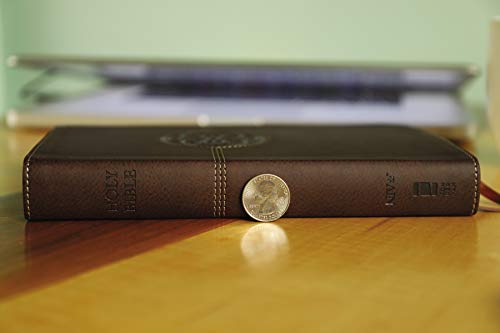 Holy Bible: New International Version, Brown, Leathersoft, Thinline Reference, Comfort Print