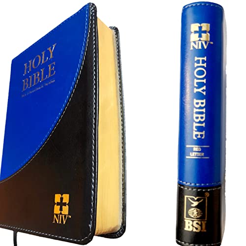 NIV Compact Duo Tone