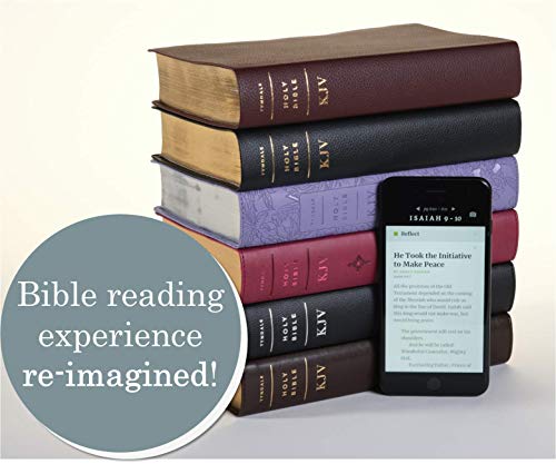 KJV Personal Size Giant Print Bible, Filament Edition, Brown