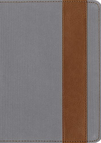 Message//Remix, The: The Bible in Contemporary Language