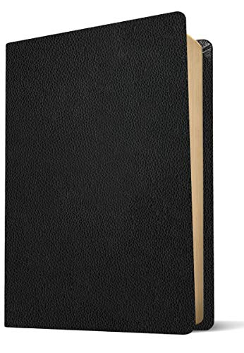 NLT Every Man's Bible, Large Print, Black Genuine Leather