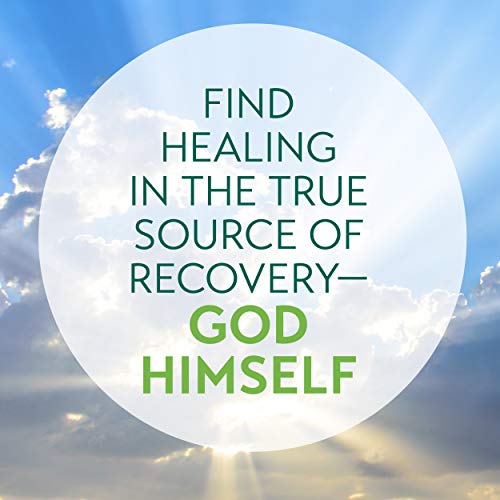NLT Life Recovery Bible, Personal Size