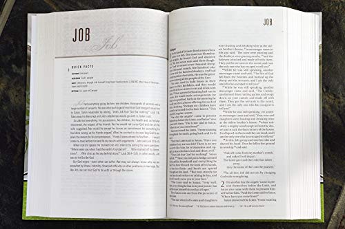 NIV, Couples' Devotional Bible, Hardcover