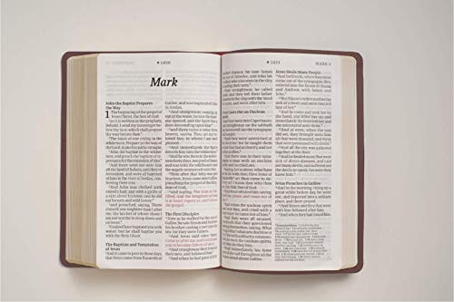 KJV Personal Size Giant Print Bible, Filament Edition, Brown