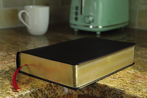 KJV, Thompson Chain-Reference Bible, Handy Size, Bonded Leather, Black, Red Letter: King James Version, Black, Bonded Leather, Handy Size, Red Letter