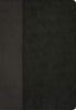 NLT Life Recovery Bible, Second Edition Personal Size, Black