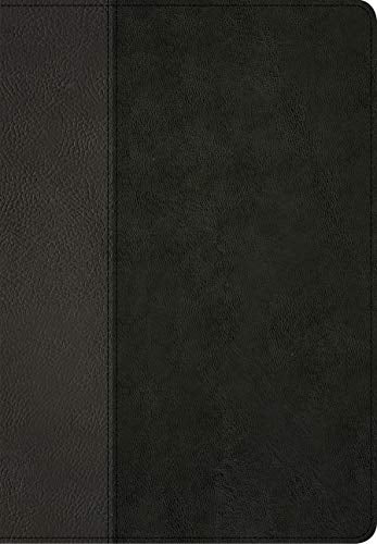 NLT Life Recovery Bible, Second Edition Personal Size, Black
