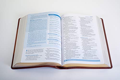 NLT Christian Basics Bible Brown/Tan, The