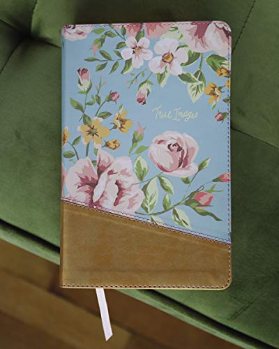 NIV, True Images Bible, Leathersoft, Teal/Gold: The Bible for Teen Girls
