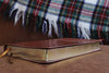 NIV, Thinline Bible, Imitation Leather, Tan, Red Letter Edition: New International Version, Thinline, Tan, Leathersoft, Red Letter Edition