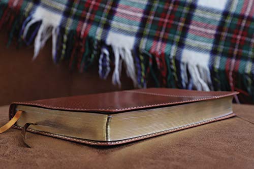 NIV, Thinline Bible, Imitation Leather, Tan, Red Letter Edition: New International Version, Thinline, Tan, Leathersoft, Red Letter Edition