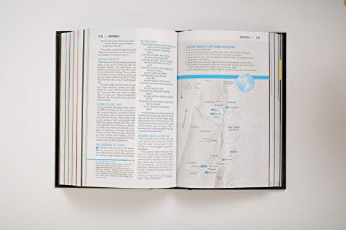 New Believer's Bible NLT (Softcover): New Believer's Bible, New Living Translation, First Steps for New Christians
