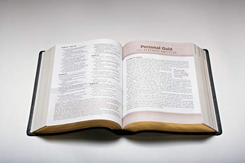 NLT Every Man's Bible, Large Print, Black Genuine Leather