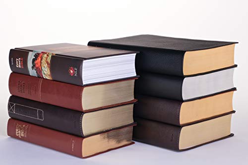 NLT Every Man's Bible, Large Print, Black Genuine Leather