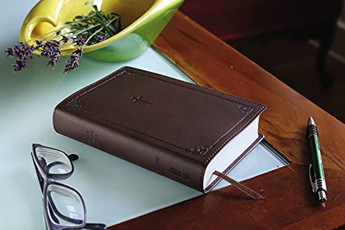 Holy Bible: New International Version, Chocolate, Italian Duo-Tone Teen Study Imitation Leather