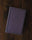 Holy Bible: New International Version, Chocolate Leathersoft Value Thinline Bible