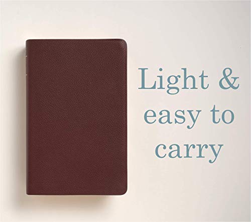 KJV Personal Size Giant Print Bible, Filament Edition, Brown