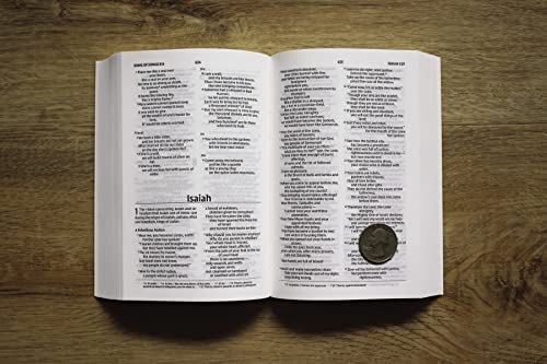 Holy Bible: New International Version, Black, Comfort Print