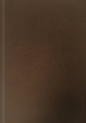 NLT Life Application Study Bible, Espresso Brown