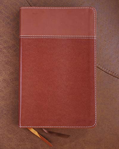 NIV, Thinline Bible, Imitation Leather, Tan, Red Letter Edition: New International Version, Thinline, Tan, Leathersoft, Red Letter Edition