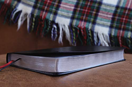 Holy Bible: New International Version, Black, Bonded Leather, Thinline