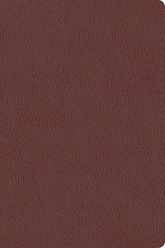KJV Personal Size Giant Print Bible, Filament Edition, Brown