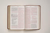 NLT Personal Size Giant Print Bible, Filament Edition, Brown: New Living Translation, Rustic Brown, Leatherlike, Personal Size, Giant Print