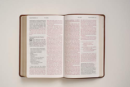 NLT Personal Size Giant Print Bible, Filament Edition, Brown: New Living Translation, Rustic Brown, Leatherlike, Personal Size, Giant Print