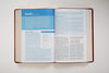 NLT Christian Basics Bible Brown/Tan, The