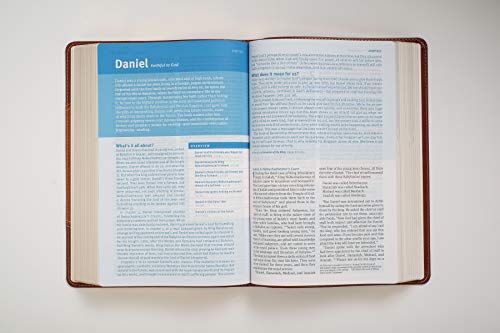NLT Christian Basics Bible Brown/Tan, The