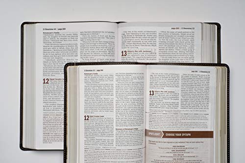 NLT Every Man's Bible, Large Print, Black Genuine Leather