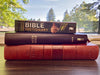 Zondervan Compact Bible Dictionary (Classic Compact Series)