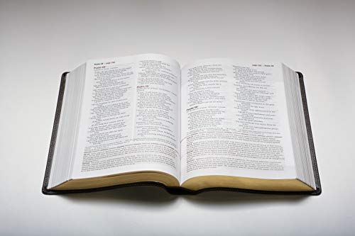 NLT Every Man's Bible, Large Print, Black Genuine Leather
