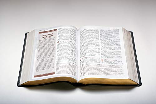 NLT Every Man's Bible, Large Print, Black Genuine Leather