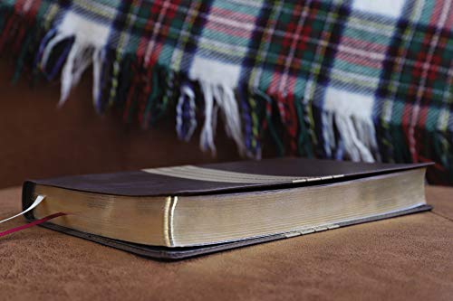 Holy Bible: New International Version, Chocolate/Tan Leathersoft, Thinline, Red Letter