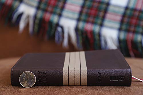 Holy Bible: New International Version, Chocolate / Tan, Leathersoft, Thinline