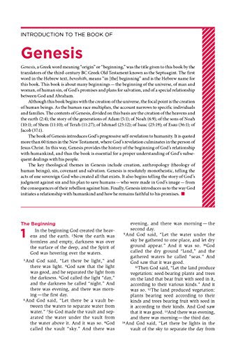 Understand the Faith Study Bible: New International Version, Black/gray, Italian Duo-tone