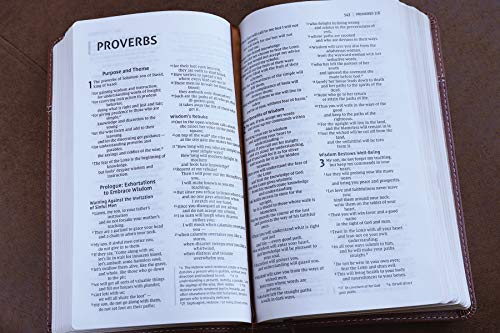 NIV, Thinline Bible, Imitation Leather, Tan, Red Letter Edition: New International Version, Thinline, Tan, Leathersoft, Red Letter Edition