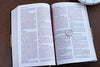 Holy Bible: New International Version, Chocolate/Tan Leathersoft, Thinline, Red Letter