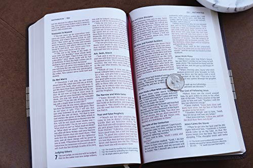 Holy Bible: New International Version, Chocolate/Tan Leathersoft, Thinline, Red Letter