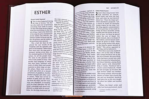 NIV, Pew and Worship Bible, Large Print, Hardcover, Burgundy