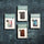 NLT Compact Zipper Bible, Filament Enabled Edition (Red Letter, Leatherlike, Charcoal Patch): New Living Translation, Filament Enabled Edition, Charcoal Patch, Leatherlike, With Zipper, Red Letter