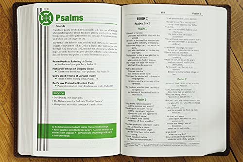 Holy Bible: New International Version, Chocolate, Italian Duo-Tone Teen Study Imitation Leather