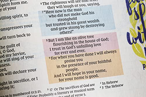 NIV Radiant Virtues Bible: New International Version, Navy Leathersoft: A Beautiful Word Collection, Red Letter, Comfort Print