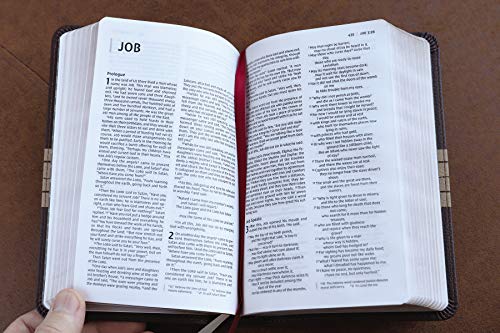 Holy Bible: New International Version, Chocolate / Tan, Leathersoft, Thinline